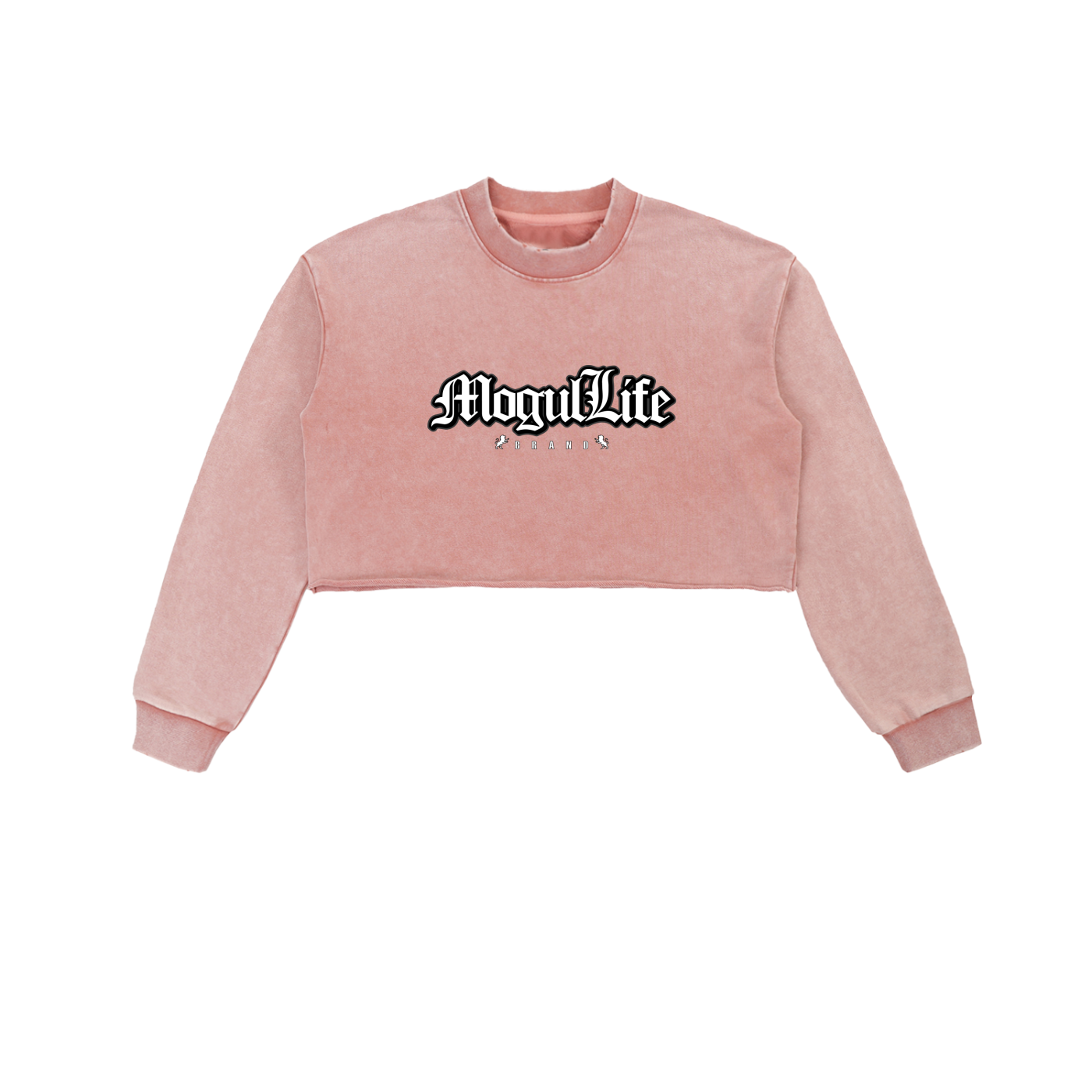 Snow Washed Raw Edge Cropped Sweatshirt